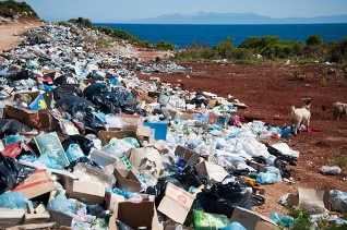 rubbishPicture 1